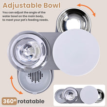 Load image into Gallery viewer, Automatic Cat Feeder and Water Dispenser Set, Gravity Pet Food Feeder with Stainless Steel Bowl, Large Capacity Food and Waterer for Cats, Kittens, Puppies and Small Dogs