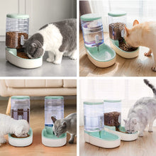 Load image into Gallery viewer, Automatic Dog Cat Feeder and Water Dispenser with Pet Food Bowl