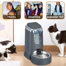 Load image into Gallery viewer, Automatic Cat Feeder and Water Dispenser with Stainless Steel Bowl